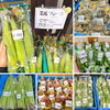 「御嶽山は夏山へ！道の駅木曽福島」