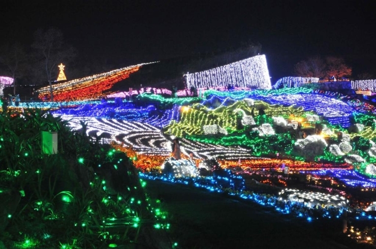 きらびやかな光の王国 まんのう公園ウィンターイルミネーション19 香川のイベントまとめ まいぷれ 高松市