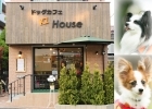 ドッグカフェ KZ House（ケージーハウス）