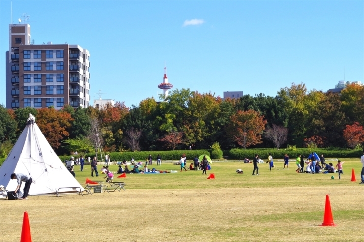 爽やかな秋晴れの下、芝生広場や木々が映えます。何やら三角形の白いテント！？