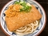 丸亀製麺 長岡店 こだわり素材の味を堪能 うどん屋さんでランチ 長岡のおすすめランチ特集 まいぷれ 長岡市