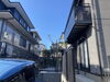 常緑ヤマボウシ強剪定作業後「庭木の剪定・伐採・草刈（相模原）施工事例」