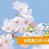 桜を見るならココ！お花見スポット特集