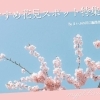 川口のおすすめ花見スポット特集