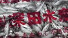 「淡路のジンタ」