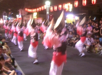 花柳界も参加する『神楽坂まつり』の阿波踊り