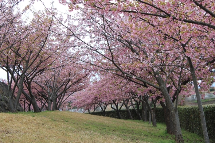 【大塚山公園】