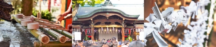 新宿区の初詣と言ったらここ！！地域別おすすめ神社一覧。