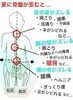 「姿勢の歪みチェック＆骨盤矯正体験  予約状況更新」