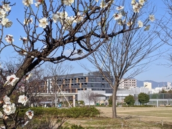 建設中のホテルが見えます