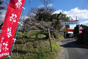 引き続き売店を楽しみながら歩いてようやく入園。入園料は大人が300円、小人が100円です。<br><br>