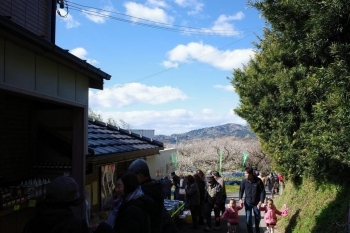 帰り道に「やっぱりアレほしい」と思っても大丈夫。もう一度売店を楽しめます♪