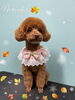 「お友達♡ Dog salon mofu mofu 余市町」