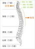 「《Vol.29》はっちCHIRO(カイロ)ニュースです★☆★ 」