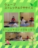 「ウェーブストレッチ エクササイズ５月　産科婦人科山口病院」