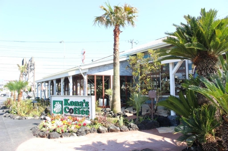 お店の周りにはヤシの木やお花が植えてあり、南国へきた雰囲気に♪