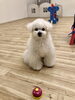 ベル鳴らし練習中〜　これ鳴らすんですかぁ「ましゅまろ幼稚園　^ - ^」