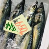 「魚魚市場鮮魚コーナーおすすめは「レンコ鯛・サバ」です♪」