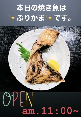 ぶりかま「本日は春一番名附けの日です。新潟漁協⚓の食堂でお魚ランチはいかがですか？本日のおすすめmenuは✨焼魚定食……¥850-(ぶりかまの塩焼き)です。」