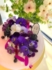 大人気❣九品仏「アンフィニ」さんの生ケーキをご用意✨「【中央区　ハーブ深掘り１ＤＡＹ】【銀座　初夏のお茶とケーキのペアリングレッスン】【特選】5/20（水）アロマティベイス のハーブ深掘り１ＤＡＹ　」