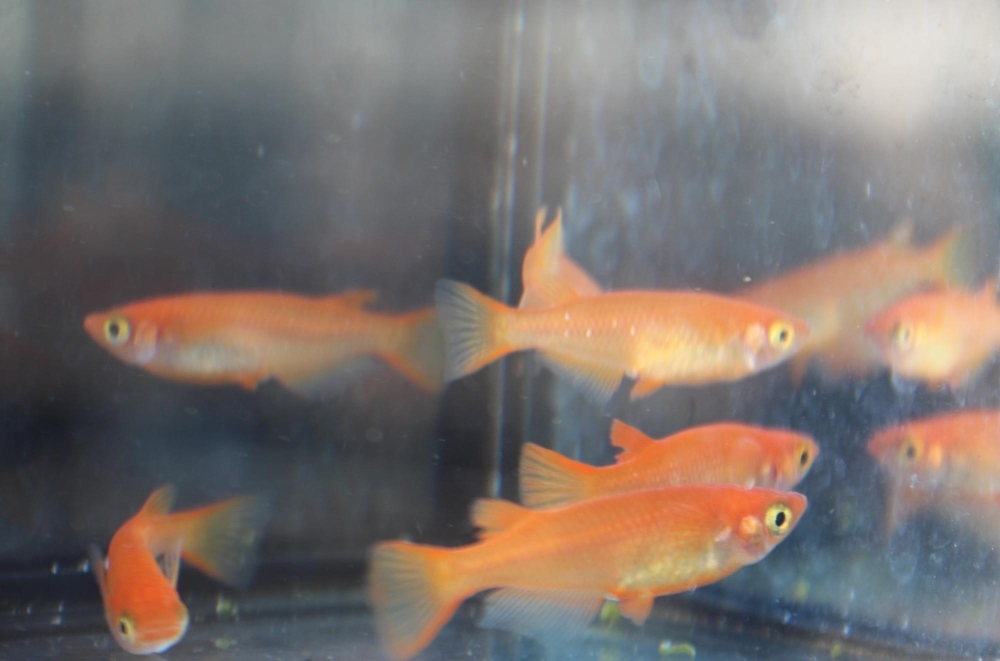 O7rrzlebcsbqbm O7rrzlebcsbqbm