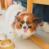 ニコちゃん「今日のお友達」