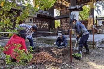 シャベルで土と枯草混ぜています