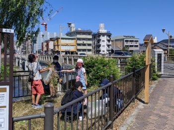 ボウボウに生えていた雑草もスッキリ