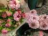 「春らしいカラフルなお花、新色のプリザーブドフラワーなど　入荷しました！」