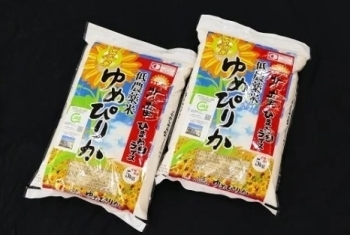1511　【お米10㎏】　ゆめぴりか　低農薬米