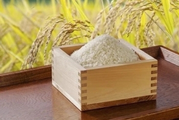 40 特別栽培米ななつぼし（精米） １５kg