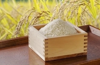41 特別栽培米ななつぼし（玄米） １５kg