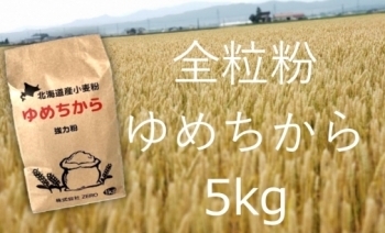 SC011021 北海道産小麦粉ゆめちから（全粒粉）5kg