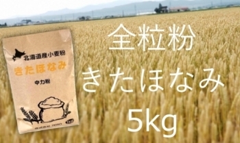 SC011023 北海道産小麦粉きたほなみ（全粒粉）5kg