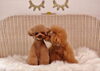 チュッ♡「Anniversary photo　(^O^)／」