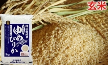 [№5665-0699]玄米　北海道赤平産ゆめぴりか特別栽培米5kg<br><br><br><br><br>