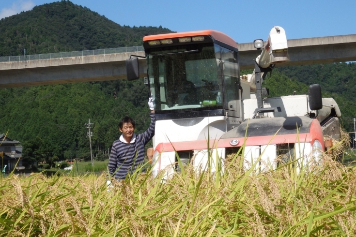 「かかりつけ米農家・井上吉夫」安心で美味しい低農薬有機栽培米をお客様へ