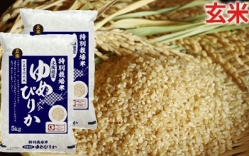 [№5665-0703]玄米　北海道赤平産ゆめぴりか特別栽培米5kg×2袋
