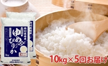 [№5665-0765]北海道赤平産ゆめぴりか特別栽培米10kg×5回お届け