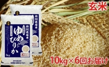 [№5665-0705]玄米　北海道赤平産ゆめぴりか特別栽培米10kg×6回お届け