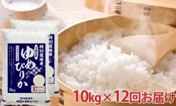 [№5665-0767]北海道赤平産ゆめぴりか特別栽培米10kg×12回お届け