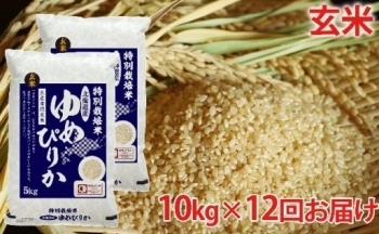 [№5665-0706]玄米　北海道赤平産ゆめぴりか特別栽培米10kg×12回お届け