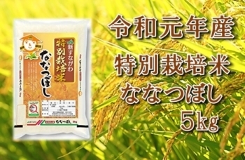 令和元年産　JA新すながわ産　特栽米ななつぼし5キログラム<br>