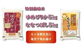 JA新すながわ産　特栽米ゆめぴりか、特栽米ななつぼし定期便（6ヶ月）