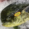「魚魚市場鮮魚コーナーおすすめは「ノドグロ」です」