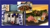 「居肴屋 和くわく」新しい出会いと美味しい料理にわくわく！