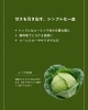 「岩見沢 雪中キャベツ 仕入れ｜飲食店向け産地直送・甘い冬野菜特集」