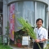 笹を売っている✾お花屋さん✾　　高住センター　ニュース　（寝屋川　枚方　交野　守口　門真　大東　四條畷）