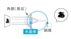 【乱視】物が二重にブレて見える状態です。「【目が悪いとは?】ぼやけて見える、ダブって見える😫 老眼?眼精疲労? 「目が悪い」と言っても、様々な種類があります💡【屈折異常について】」