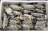 「ハラコ販売中でーす‼️鮮魚パックいろいろ販売中‼️〆鯖も販売致します🐳」